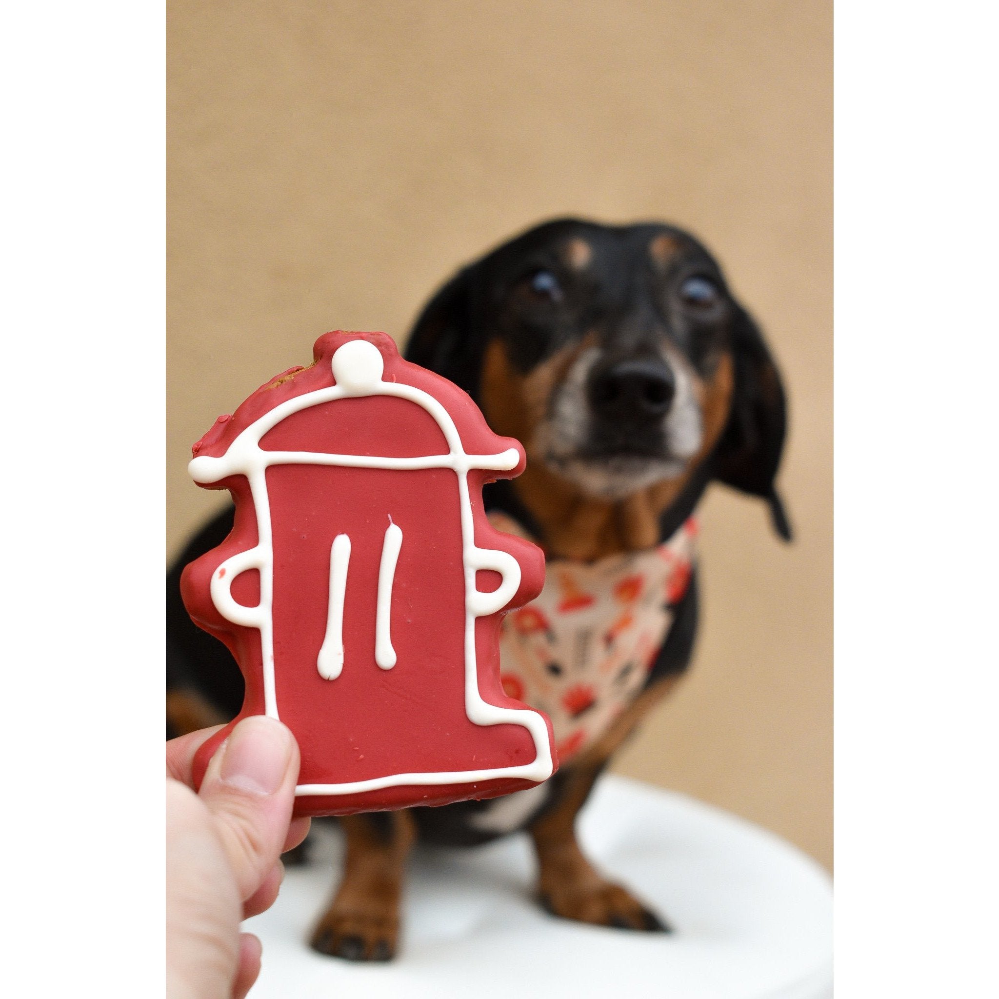 Bandana de Perro Estilo Bombero | Accesorio Divertido y Cómodo para Mascotas