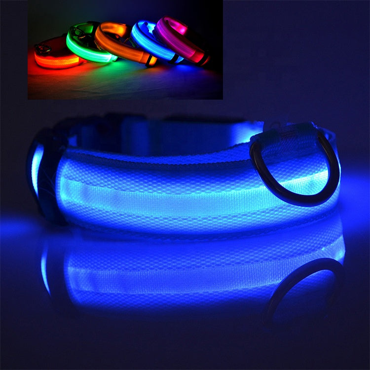 Collar LED para Perros Recargable por USB – Collar Iluminado de Seguridad Nocturna
