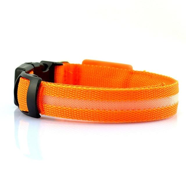 Collar LED para Perros Recargable por USB – Collar Iluminado de Seguridad Nocturna