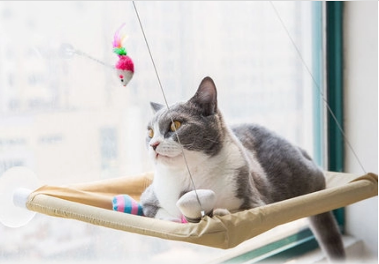 Cama de Ventana para Gatos – Hamaca Colgante Resistente y Cómoda