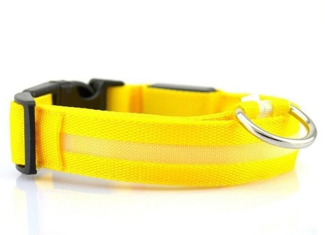 Collar LED para Perros Recargable por USB – Collar Iluminado de Seguridad Nocturna