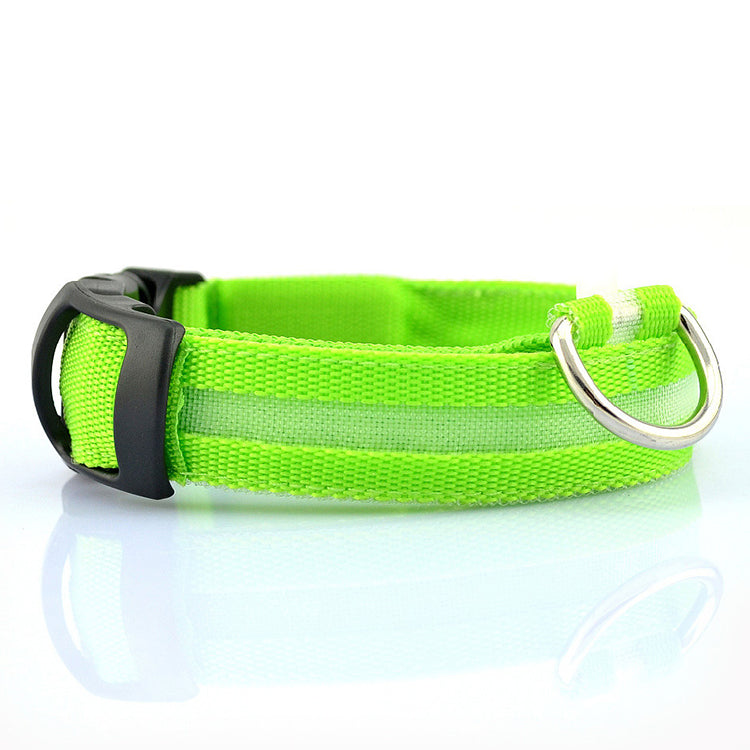 Collar LED para Perros Recargable por USB – Collar Iluminado de Seguridad Nocturna