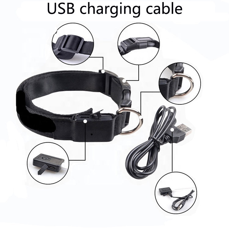 Collar LED para Perros Recargable por USB – Collar Iluminado de Seguridad Nocturna